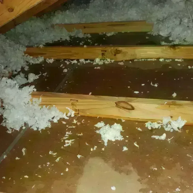 Attic Water Damage in Sugarcreek Police Dept, OH